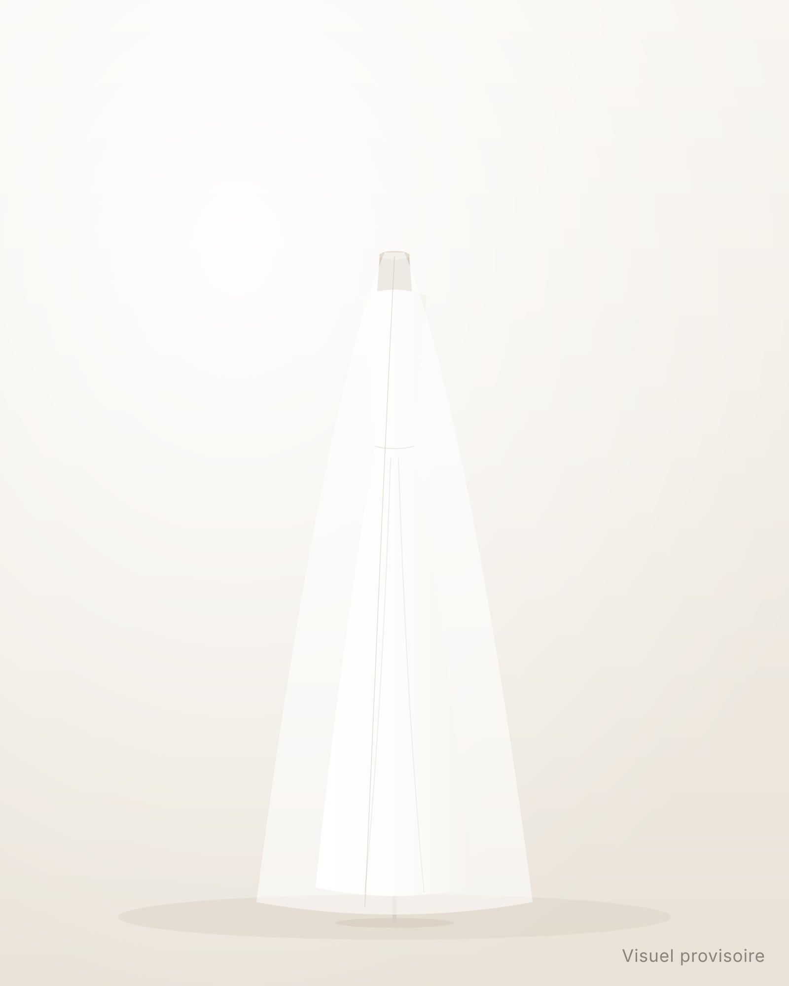 Visuel provisoire : voile long posé sur une robe droite